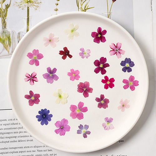 Beauty Makeup Bridal - 60Pcs Various Mini Dried Flower Stickers