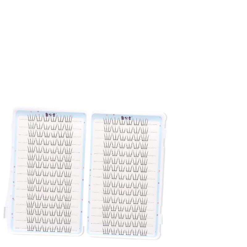 Beauty Makeup Book - DIY Eyelash Extension Clusters 30 Rows