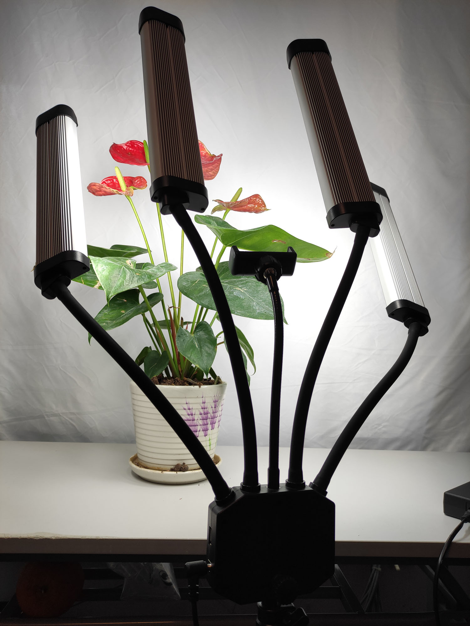 Bi-color Lamp 65W Professional - Beauty Makeup Video recension och pris