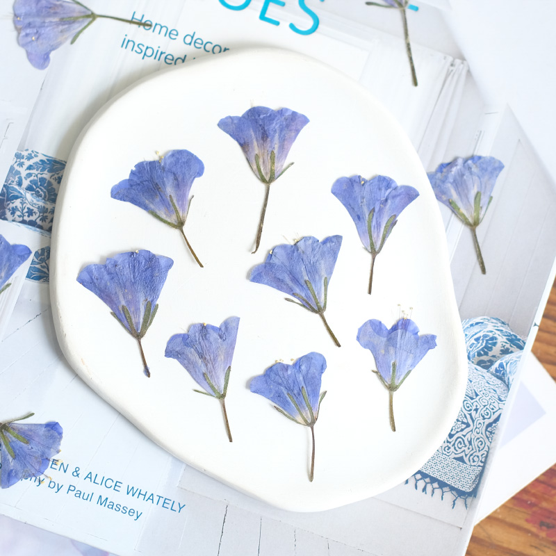 12pcs/3-5cm,nature Bluebell Em - Beauty Makeup Bridal recension och pris