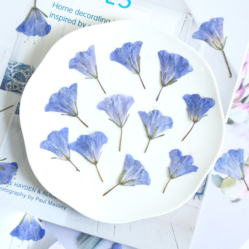 12pcs/3-5cm,nature Bluebell Em - Beauty Makeup Bridal recension och pris