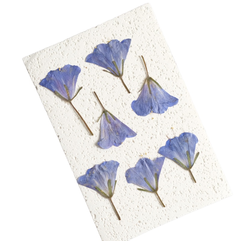 12pcs/3-5cm,nature Bluebell Em - Beauty Makeup Bridal recension och pris