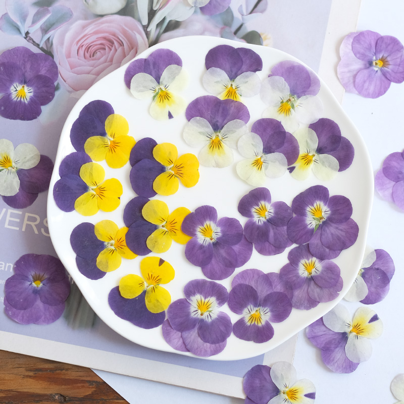 12pcs,nature Pansy Dried Flowe - Beauty Makeup Bridal recension och pris