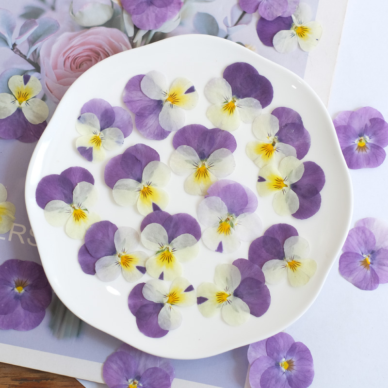 12pcs,nature Pansy Dried Flowe - Beauty Makeup Bridal recension och pris