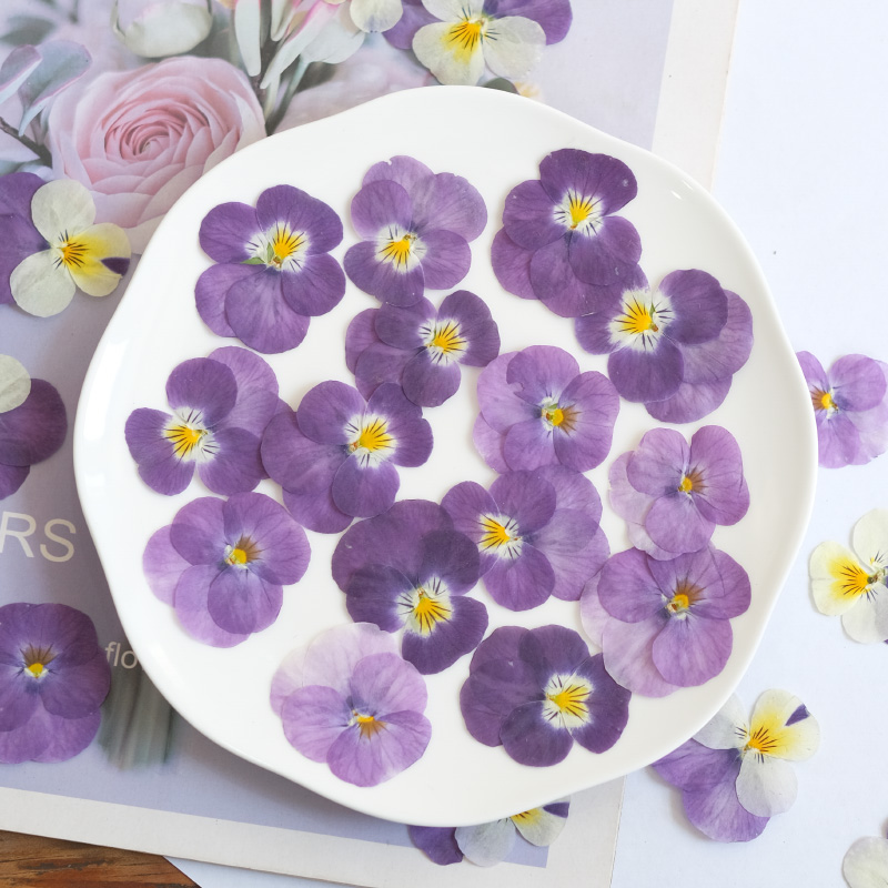 12pcs,nature Pansy Dried Flowe - Beauty Makeup Bridal recension och pris